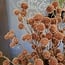 Countryfield Kunsttak Bloem Echinops roze - 4 x 13 x 105 cm