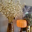 Countryfield Kunstbloem Sparkly Forsythia S wit