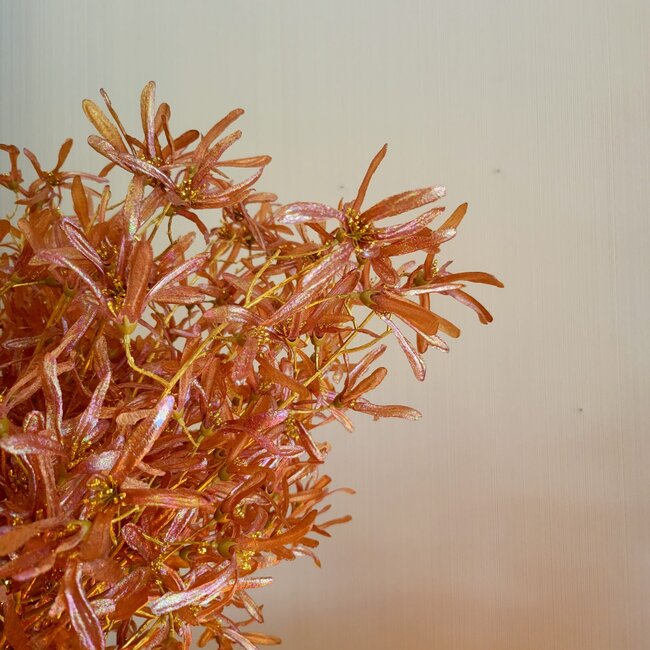 Countryfield Kunstbloem Sparkly Forsythia S goud