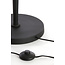 Light en Living Vloerlamp VIXEN Zwart Ø27x151 cm