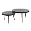 WoonStijl Salontafel set/2 bulky ferro