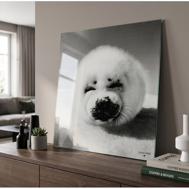 Countryfield Schilderij Zeehond Wild Life 80 x 80 cm