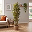PTMD PTMD Kunstplant Bamboo Groen in Zwarte Pot L - 215 cm