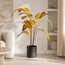 Parlane Ornament in pot Strelitzia Goud-Bruin+Zwart - 110 cm