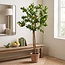 Countryfield Kunstplant Limon groen citroen 170 cm hoog