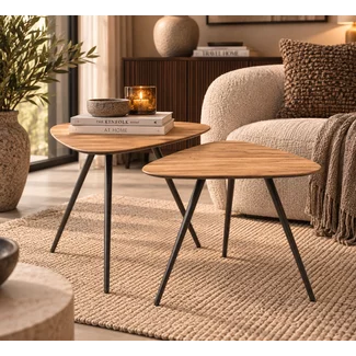 PTMD Salontafel set Rupert Naturel recycled teak