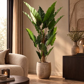 PTMD Kunstplant groen blad in zwarte pot - 170 cm hoog