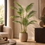 PTMD Palmboom groen in zwarte plastic pot - 148 cm hoog