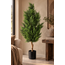 PTMD Kunstboom Ceder groen in plastic pot 120 cm hoog