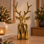 Countryfield Hert Zen L goud