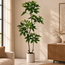 Countryfield Kunstplant in pot Pachira groen-L 25 x B 25 x H 190 CM