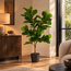 Countryfield Countryfield Kunstplant Ficus lyrata groen - Diverse afmetingen
