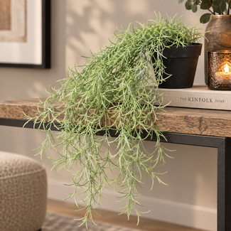 Countryfield Kunstplant Tillandsia groen
