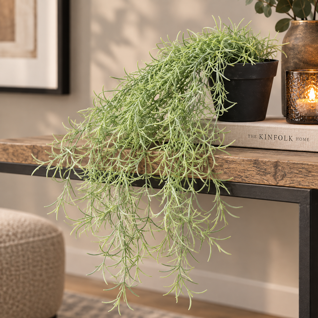 Countryfield Kunstplant Tillandsia groen