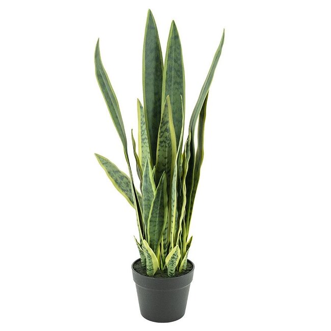 By Boo Kunstplant Sansevieria - medium