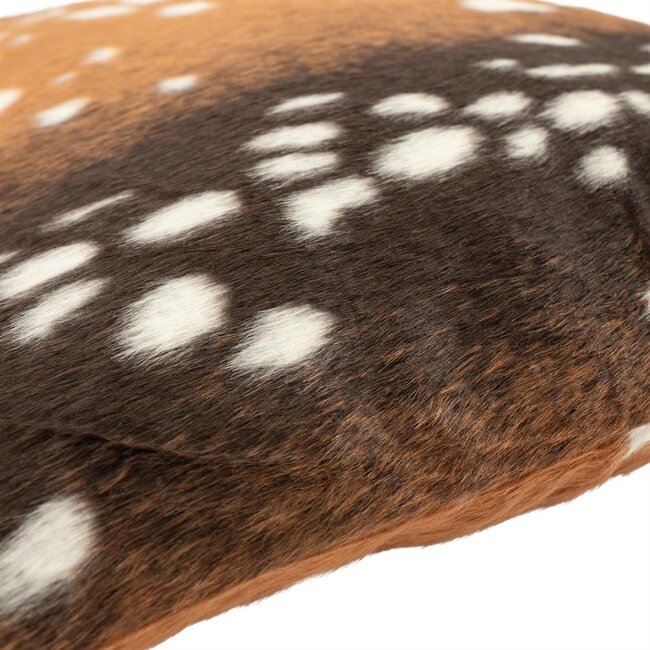 By Boo Kussen Bambi