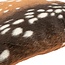 By Boo Kussen Bambi