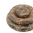 By Boo Schaal Donut - klein