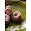 By Boo Schaal Viro - groen