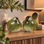 Countryfield Vogel Jip L set van 2 groen