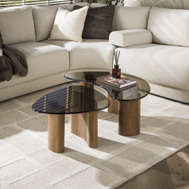 WoonStijl Salontafel Tinto organisch set van 2 salontafels met brons glas