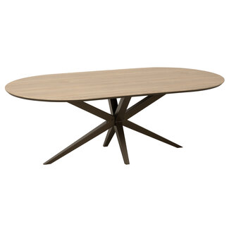 WoonMax Salontafel Wellington Capsule Lamulux  - 135 x 67 cm