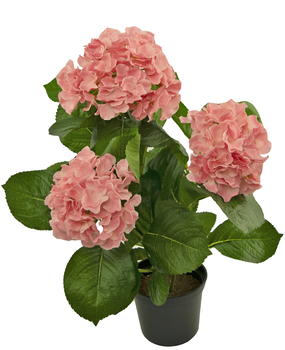 Easyplants - Kaufen Online Künstliche Hortensien