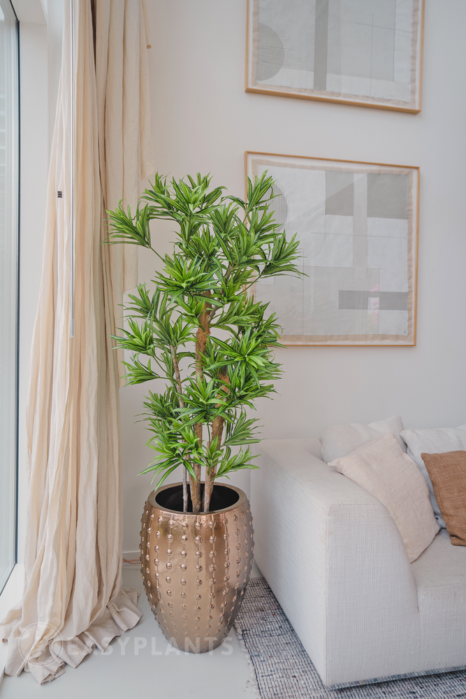 Kunstpflanze Dracena Marginata Baum 1,50m | Easyplants - Easyplants