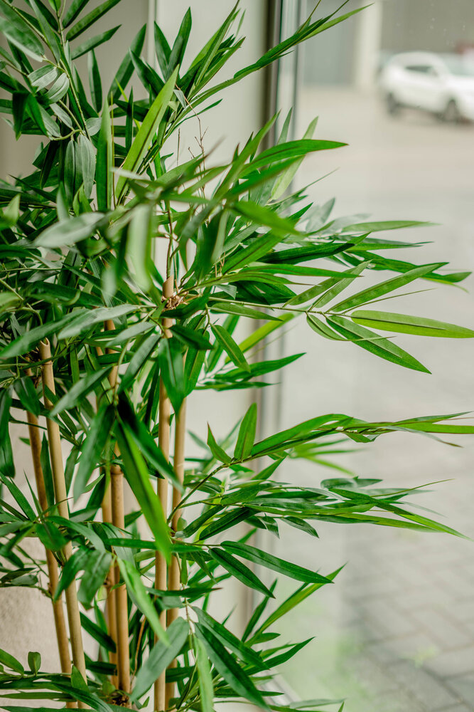 Pflanze Künstliche Easyplants | 1,50m Easyplants Bambus -