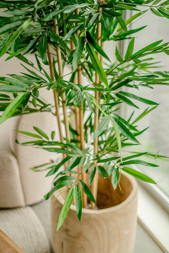 Künstliche Pflanze Bambus | Easyplants 1,50m Easyplants 