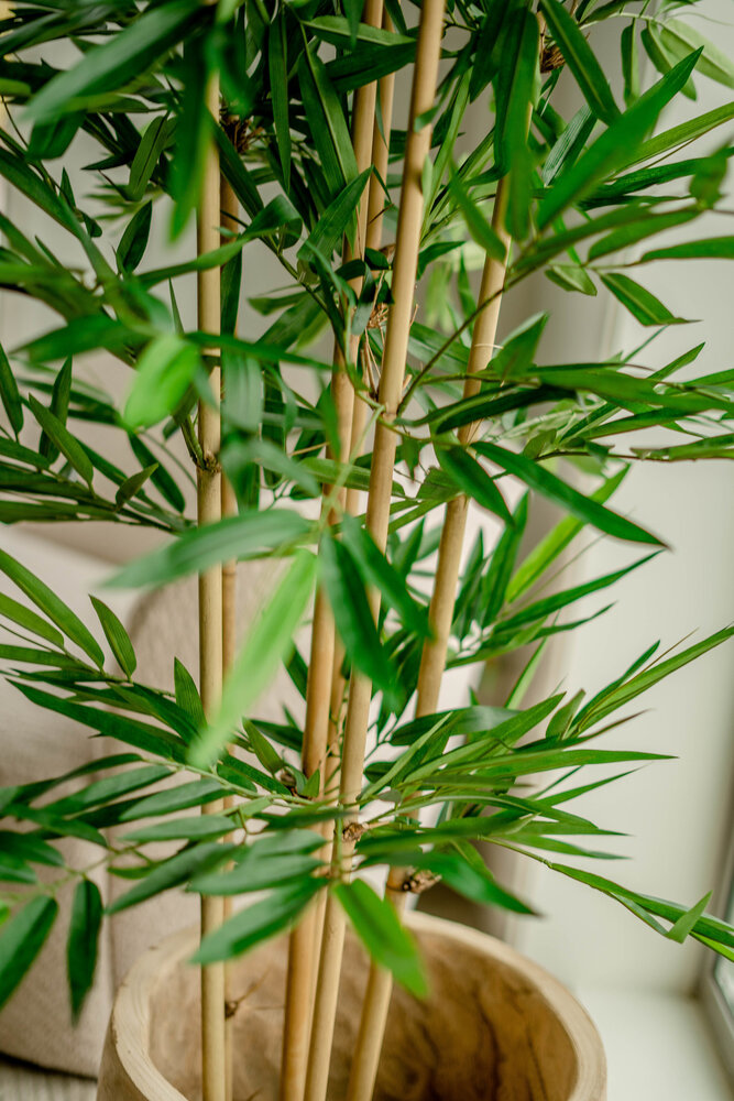 | - Easyplants 1,50m Pflanze Bambus Künstliche Easyplants