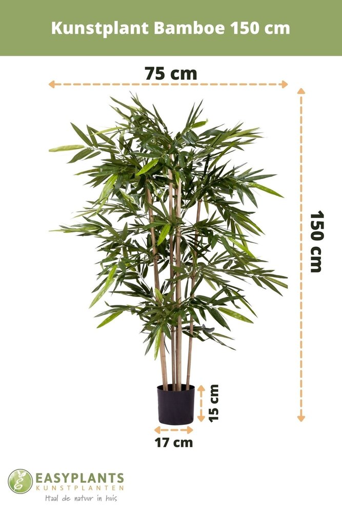 Pflanze Easyplants | Bambus Künstliche 1,50m - Easyplants
