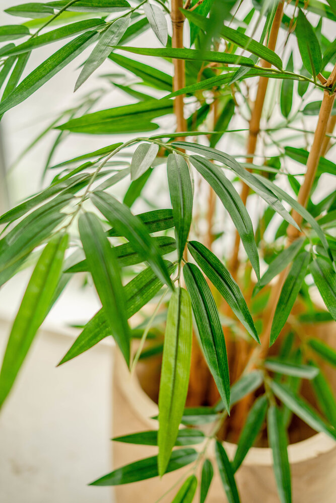 Künstliche Pflanze Bambus Easyplants | Easyplants - 1,20m