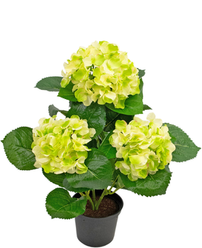 Easyplants Online - Kaufen Künstliche Hortensien
