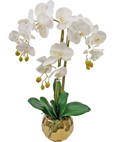 Künstliche Orchidee 52 cm weiß im goldenen Topf - Easyplants