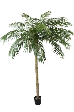 Kunstig palme  Phoenix De Luxe 250 cm