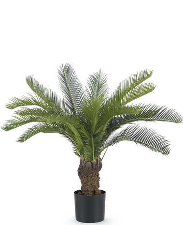 Kunstig Cycas palme 80 cm