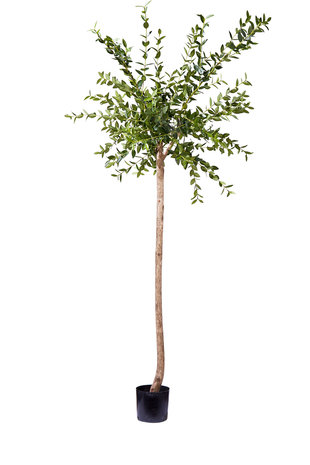 Kunstig Eucalyptus 150 cm