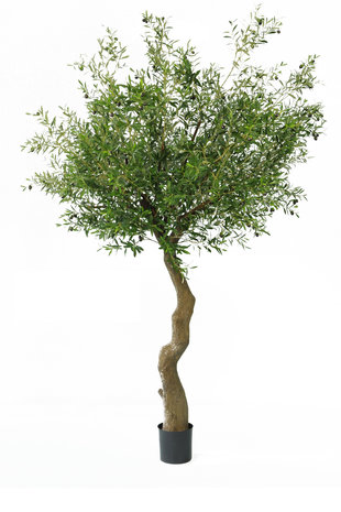 Kunstig oliventræ med oliven 270 cm