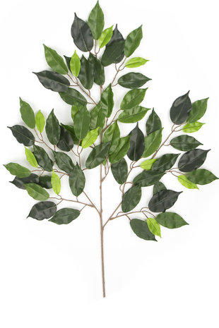 Kunstige  Ficus Folia Blade 55 cm Grøn Brandhæmmende