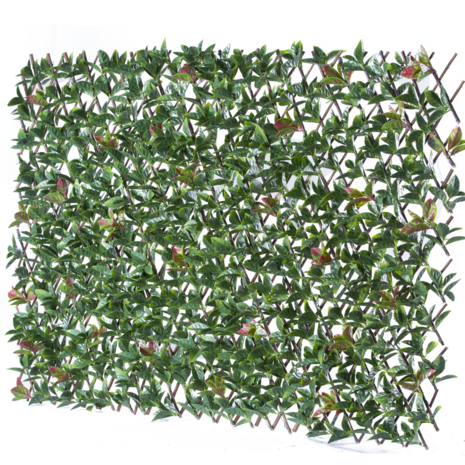 Kunstig Plantevæg Photonia kan forlænges 200x100 cm