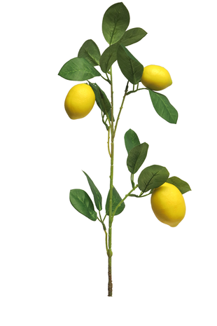 Kunstig citrontræ 74 cm