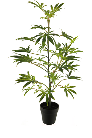 Kunstig hamp plante 90 cm