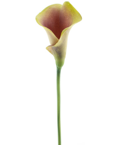 Kunstig blomst Callalelie 42 cm bordeaux/gul
