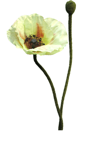 Kunstige blomster Papaver Rhoeas deluxe 60 cm høj