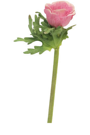 Kunstig blomst Anemone Dalton 36 cm fuchsia