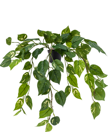 Kunstig hængeplante Pothos 80 cm