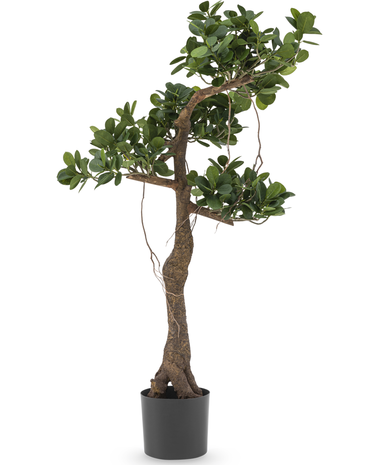 Kunstig plante Ficus Panda 120 cm