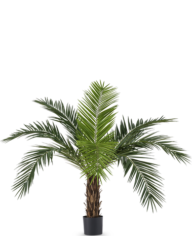 Kunstig palme Phoenix Canarie 160 cm
