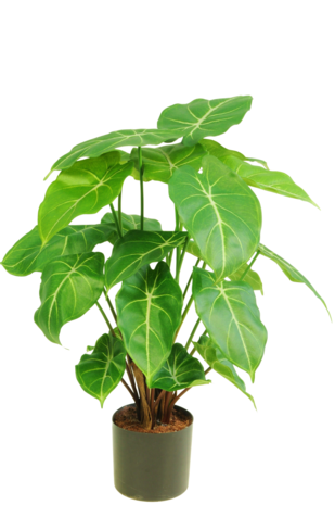 Kunstig plante Syngonium 58 cm